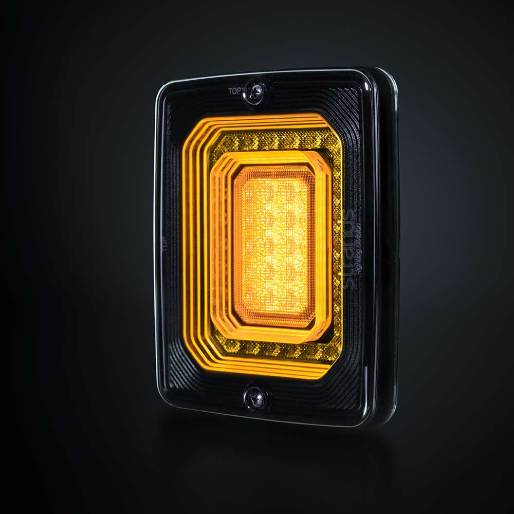 FOR9T ILLUSION INDICATOR LIGHT Horizontal/vertical approv. | 2,5M Cable  SKU: 800657